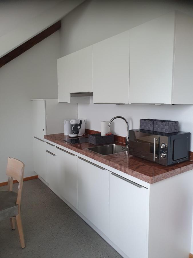 Ferienwohnung Gutshof Seenland Seekirchen am Wallersee Exterior foto